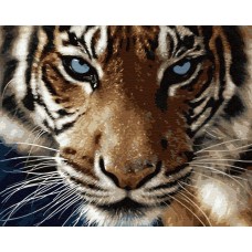 Картина по номерам Brushme Взгляд тигра GX8767 40x50 см