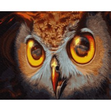 Картина по номерам Brushme Взгляд совы GX30086 40x50 см