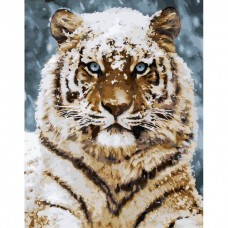 Картина по номерам Идейка Уссурийский тигр 40x50см KHO4140