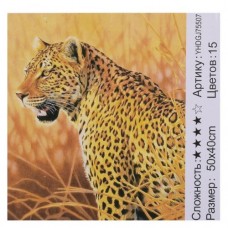 Картина по номерам + Алмазная мозаика Леопард (сложность 4)