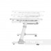 Комплект для подростков стол-трансформер FunDesk Invito Grey + ортопедическое кресло FunDesk Contento Grey