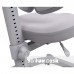 Комплект стол-трансформер Libro Pink+эргономичное кресло Diverso Pink FunDesk